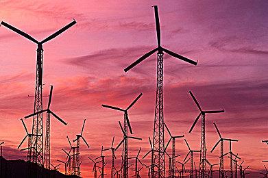 《死或生：女神璀璨假期》新图和联动预告 性感少女齐聚